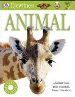 Books for Class 4