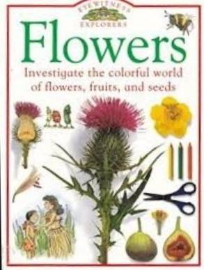Books for Class 5