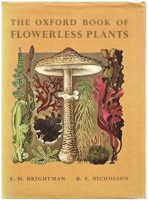 Books for Class 5