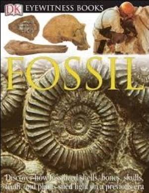 Books for Class 6