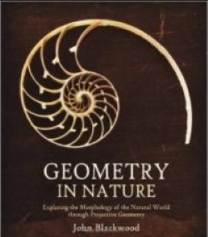 Books for Class 7