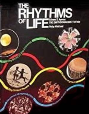 Books for Class 7