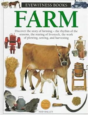 Books for Class 3