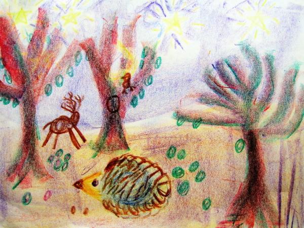 Class 2 Guided Drawing