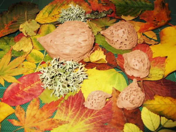 Class 2 Clay Modelling