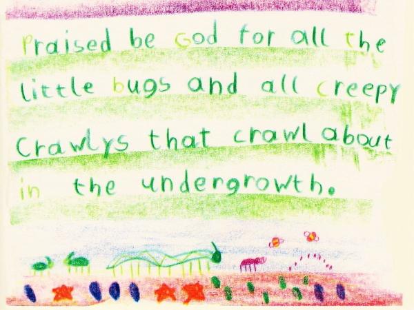 Class 2 Literacy - 1