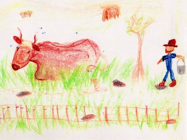 Class 3 Farming Bookwork - 4