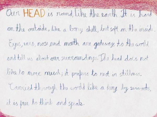 Class 4 Man and Animal, Bookwork - 2