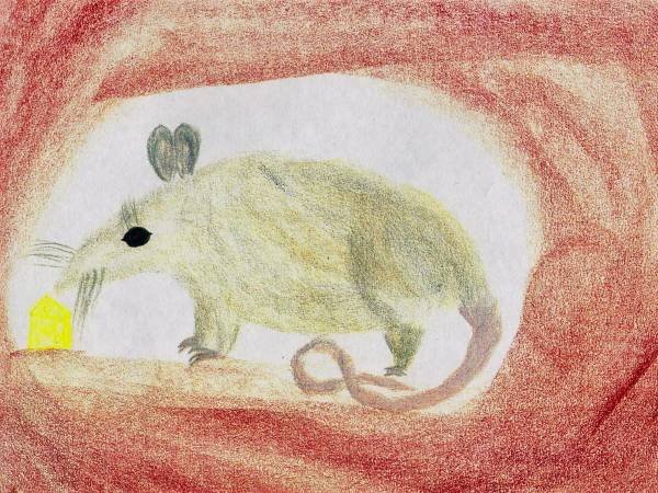 Class 4 Man and Animal, Bookwork - 3