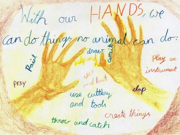 Class 4 Man and Animal, Bookwork - 4