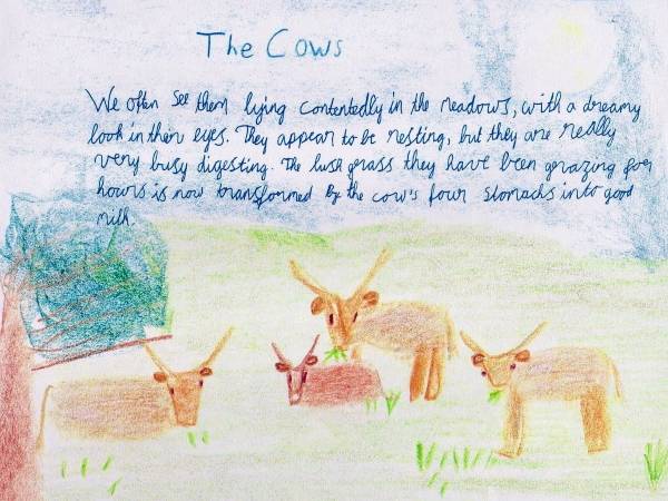 Class 4 Man and Animal, Bookwork - 5