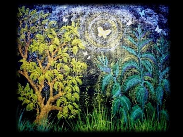 Class 1 Blackboard Drawings - 6