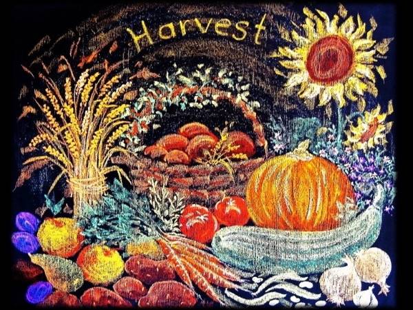 Class 3 Blackboard Drawings - 1