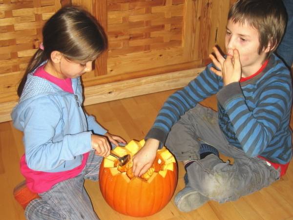 Class 3 Farming - 4