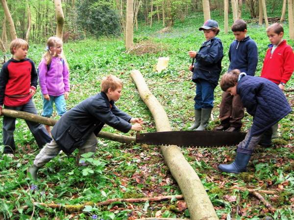 Class 3 Woodcutting - 2