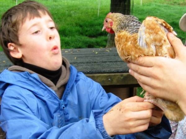 Class 3 Farm Camp - 1
