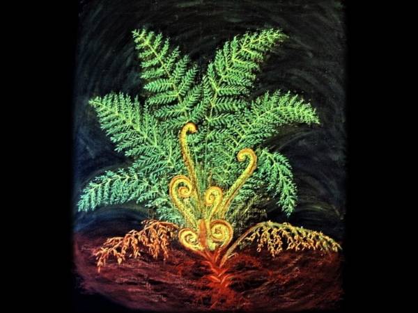 Class 5 Blackboard Drawings - 6