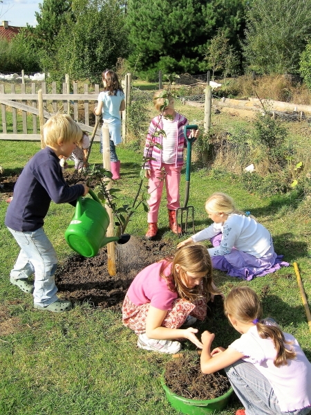 Class 3 Gardening - 1