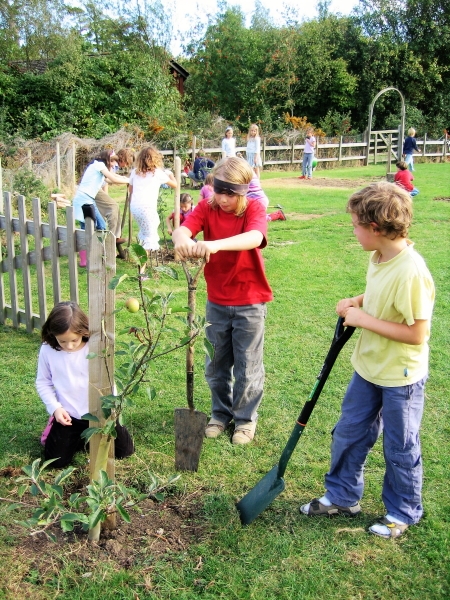 Class 3 Gardening - 2
