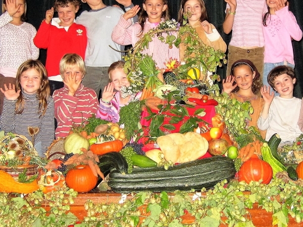 Class 3 Farming - 1