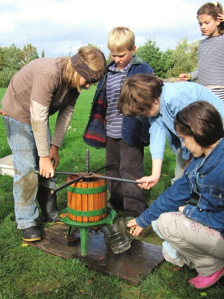 Class 3 Farming - 2