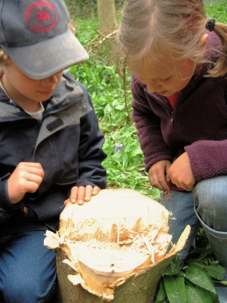 Class 3 Woodcutting - 1