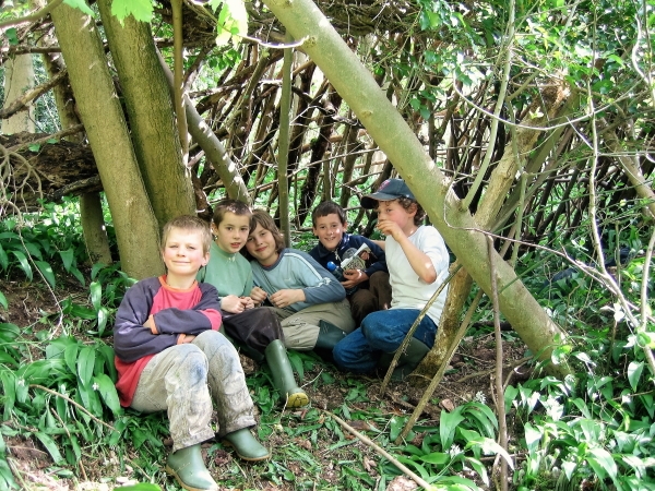Class 3 Woodcutting - 3