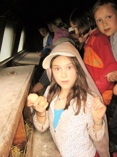 Class 3 Farm Camp - 2