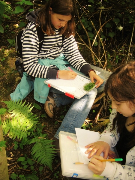 Class 5 Botany Trip - 2