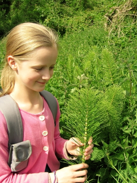 Class 5 Botany Trip - 5