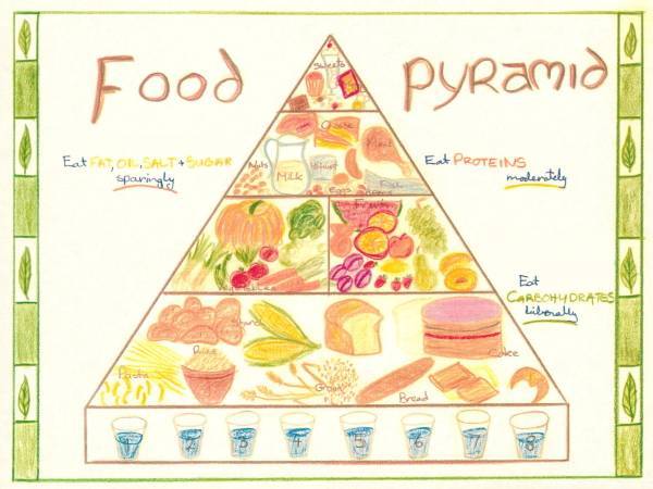Class 7 Human Physiology, Bookwork - 2