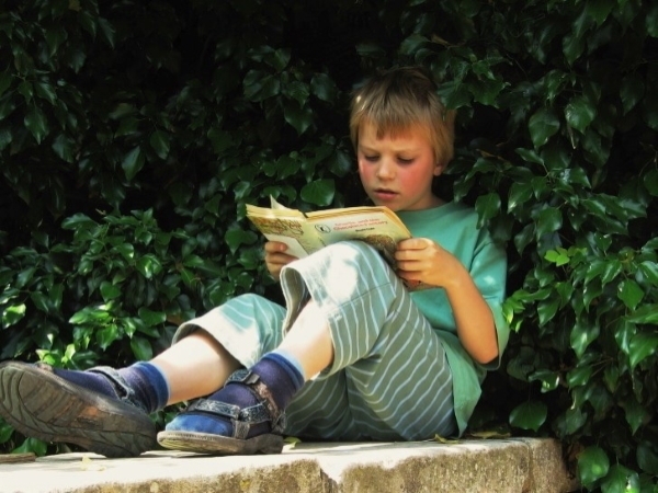Class 2 Literacy