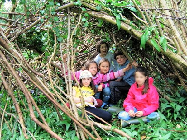 Class 3 Woodcutting - 4