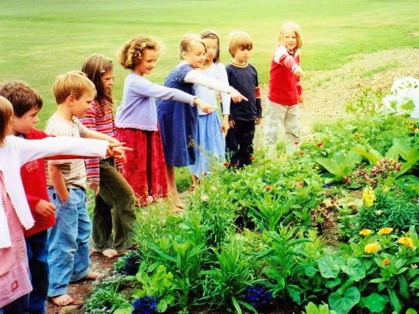 Class 1 Gardening - 2