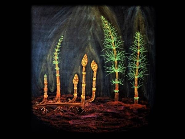 Class 5 Blackboard Drawings - 5