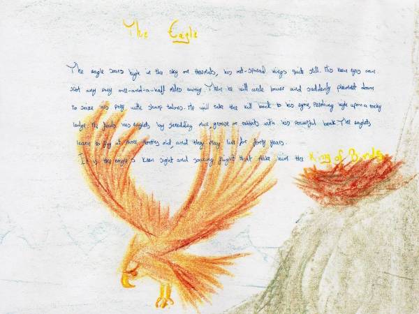 Class 4 ML Bookwork