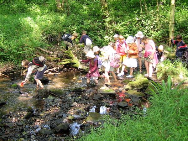 Waldorf Education