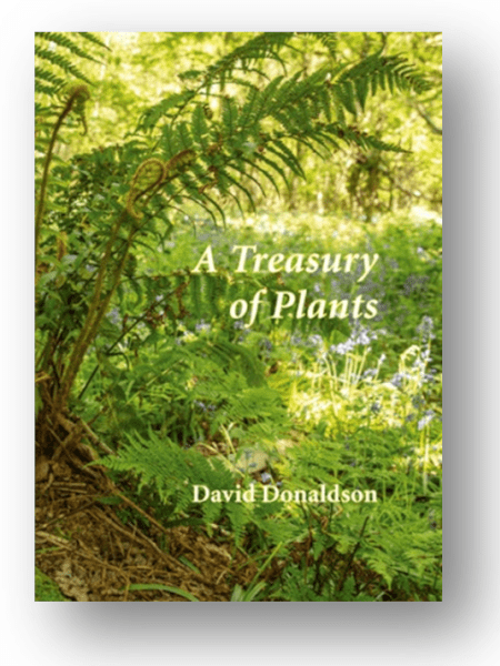 David Donaldson Poems