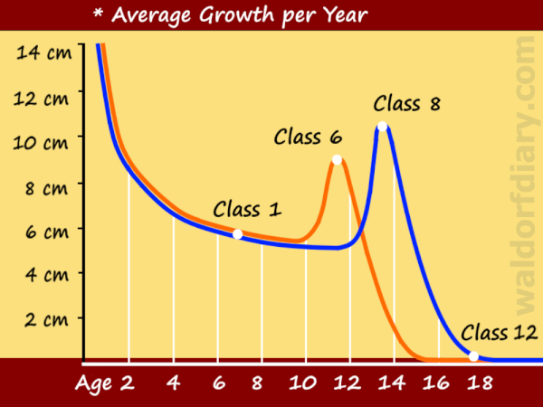 Growth Chart