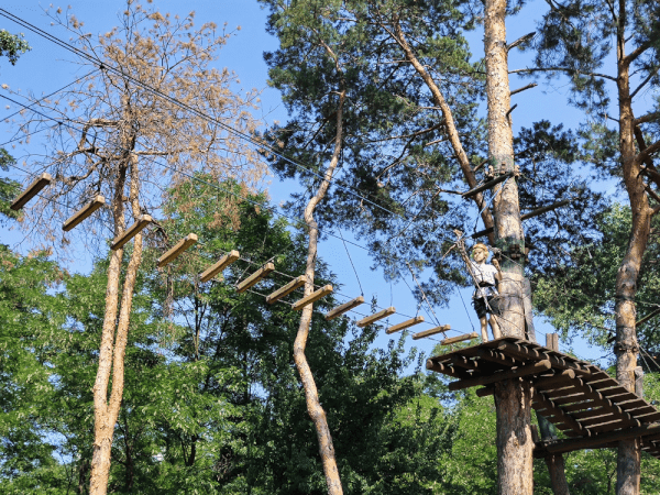 Ropes and Heights