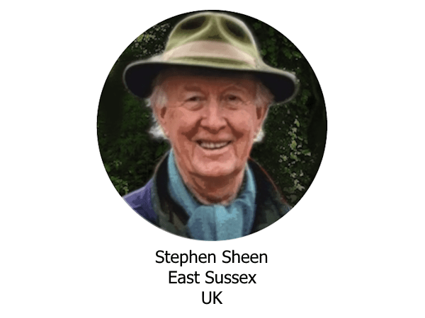 Guest Author Stephen Sheen