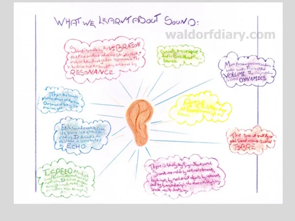 Class 6 Acoustics bookwork