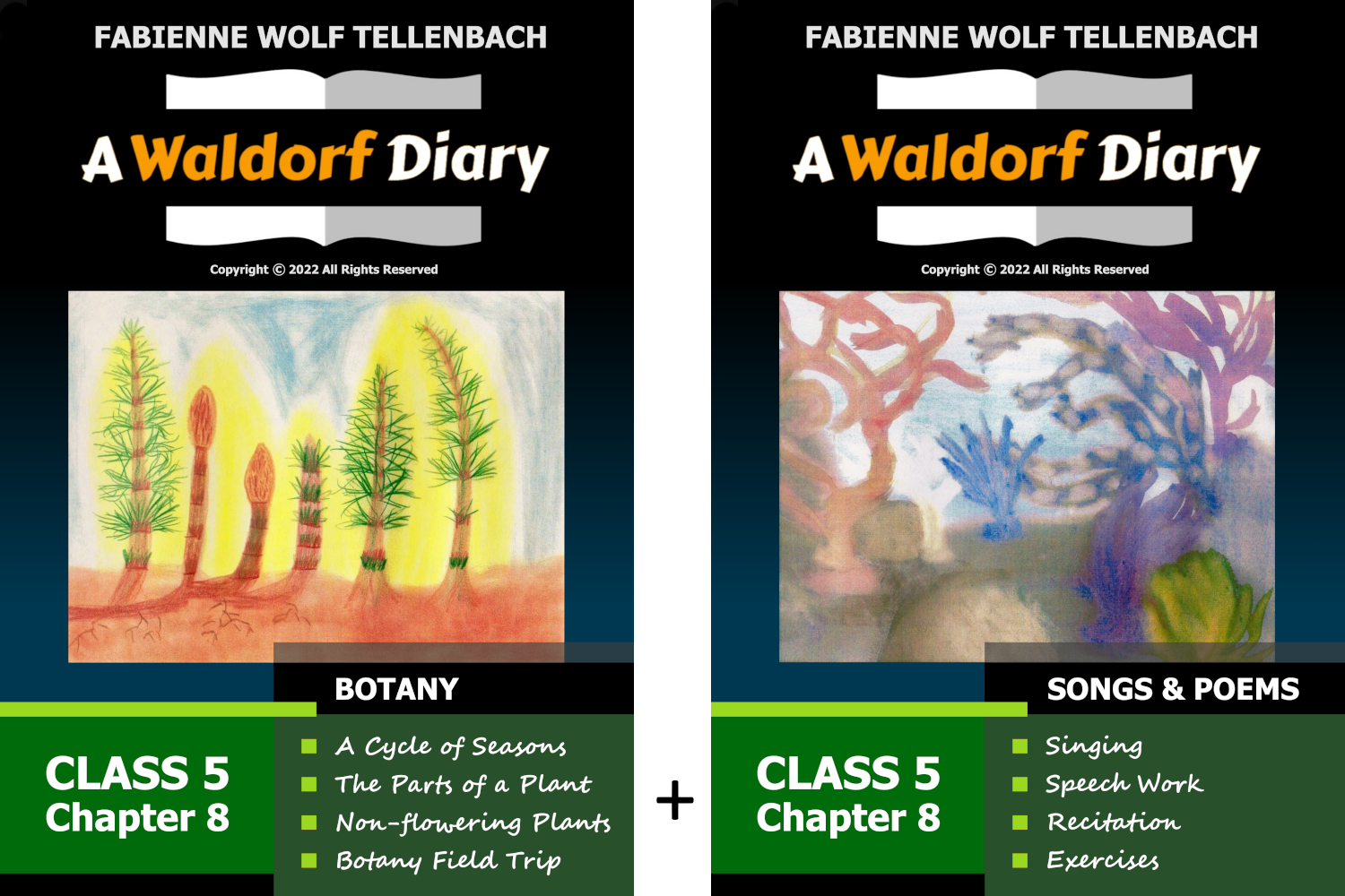A Waldorf Diary, Class 5, Chapter 8 - Botany