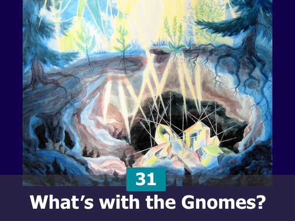 What´s with the Gnomes?