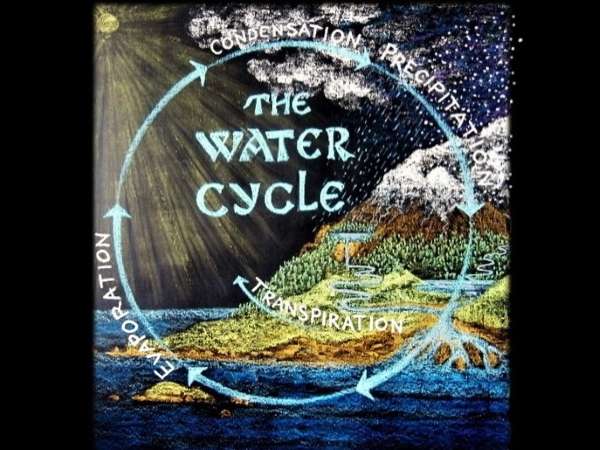 The Water Cycle