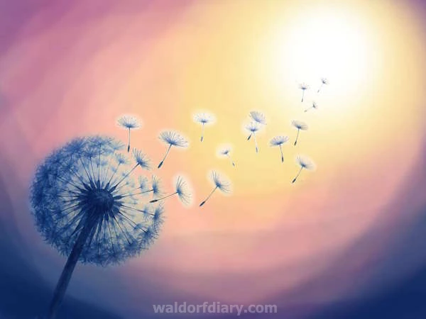 A Great Spiritual Awakening - blog post